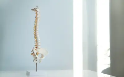 5 Myths About Chiropractic