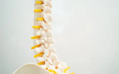 Why You Should See a Chiropractor