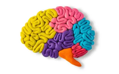 Unlocking Potential: How Chiropractic Care Influences Brain Health