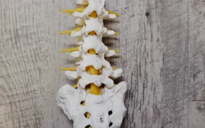 Chiropractic Care in Autoimmune Disease Management