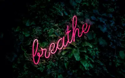 Embracing Mindfulness: The Path to Mental Well-being
