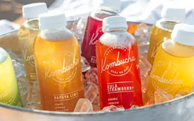 Boosting Health Naturally: Vitamin B12 and Kombucha