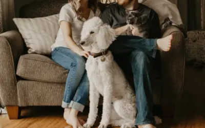 Chiropractic and Your Pets: Enhancing Animal Health and Happiness Naturally