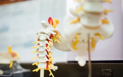 The Science of Chiropractic: Understanding the Research Behind Spinal Care