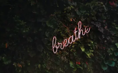 The Connection Between Stress and Spinal Health: How Chiropractic Can Help