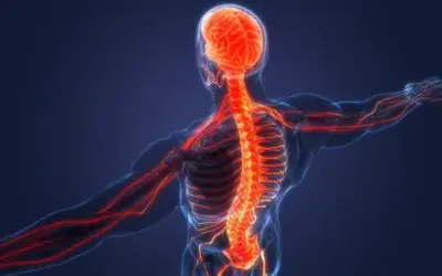 How Reduced Activity Levels in Winter Can Aggravate Posture Issues and Chronic Pain
